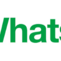 logo_wp